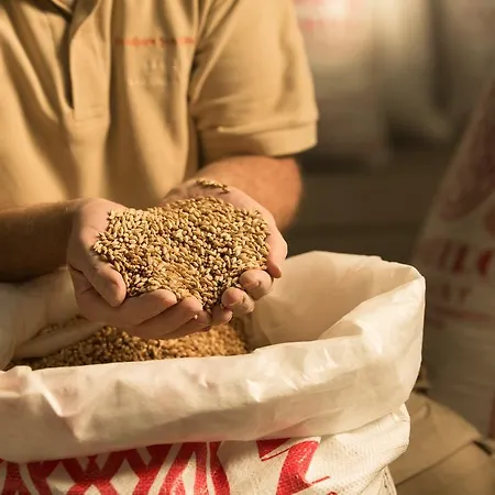 Szálloda Brauhaus Zum Loewen