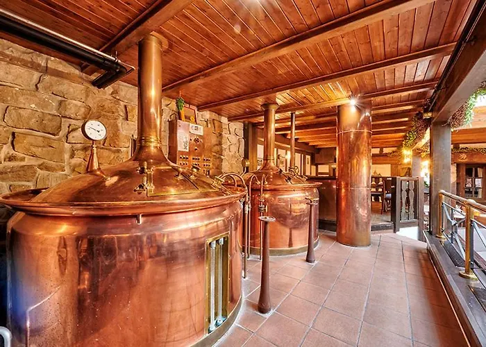 Otel Brauhaus Zum Loewen Mühlhausen