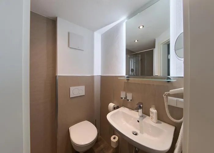 Brauhaus Zum Loewen 3*