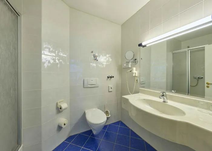 Brauhaus Zum Loewen מלון