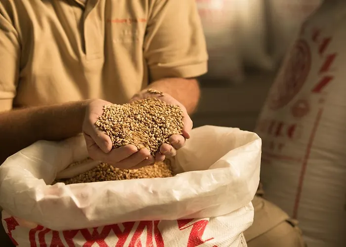 מלון Brauhaus Zum Loewen